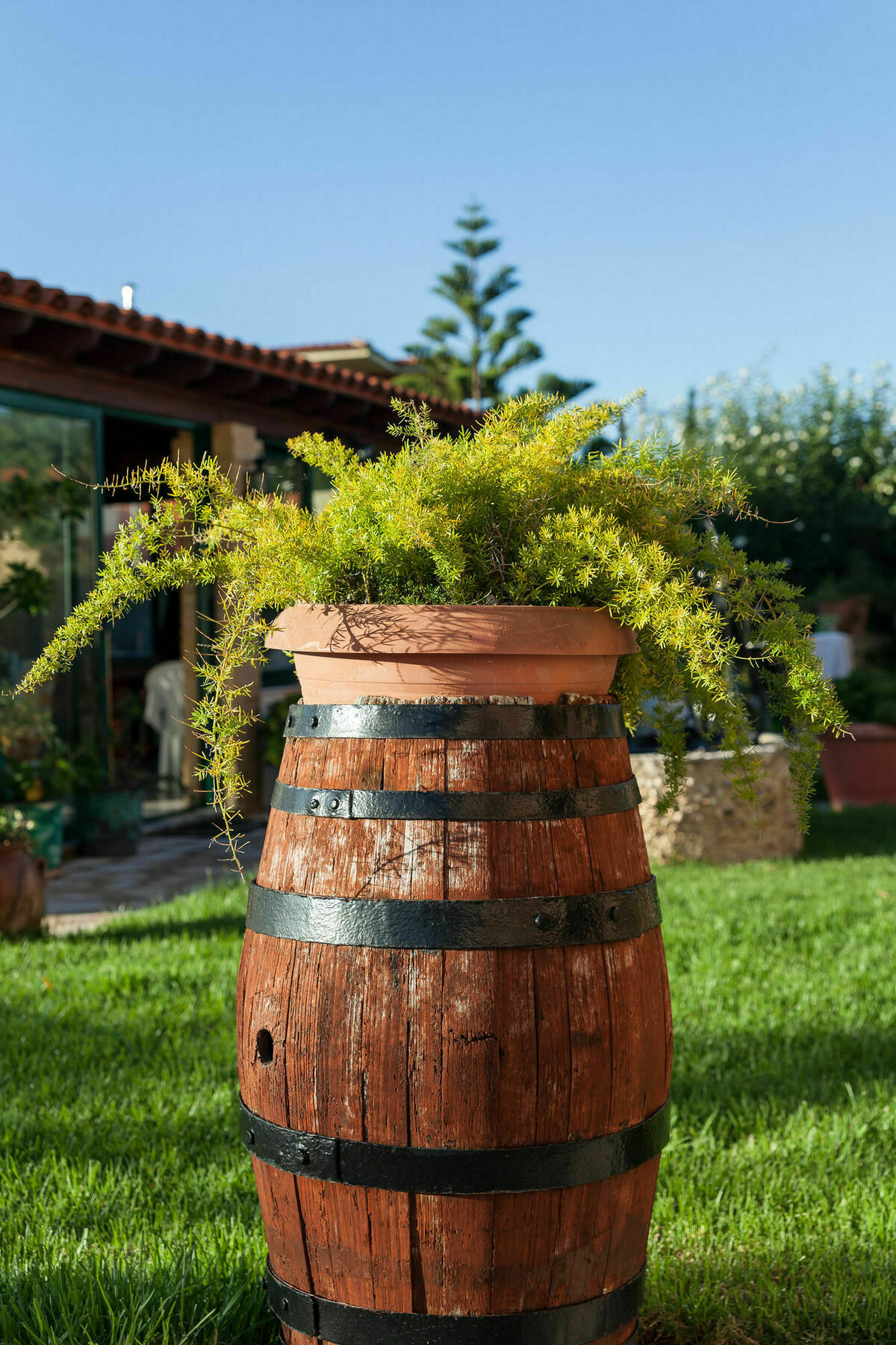 Nikos & Katerina Studios Agios Stefanos Avliotes  Bagian luar foto